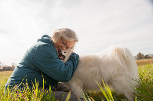 AMERICAN ESKIMO DOG
