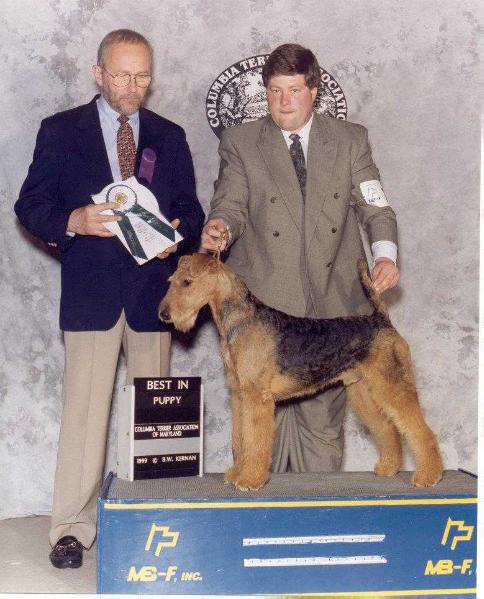 Coldstream's Highlander | Airedale Terrier 