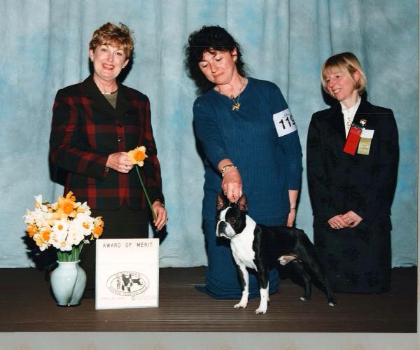 Bramley's I'm A Midnite Rider | Boston Terrier 