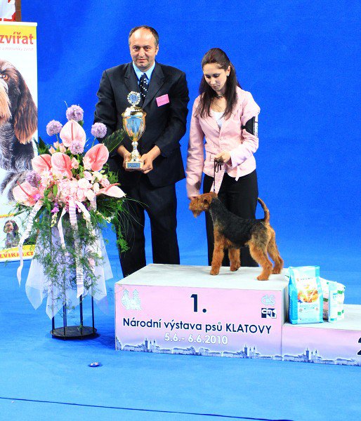 Eurico od Guvernéra | Welsh Terrier 