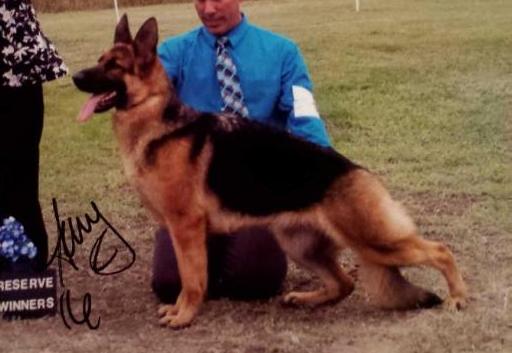 Liberty's To Thine Own Self Be True | German Shepherd Dog 