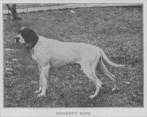 Trinket's Bang (1883) [river Shield Hochwalt] | Pointer 