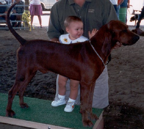 Sidearm Kajun Ketchup | Redbone Coonhound 