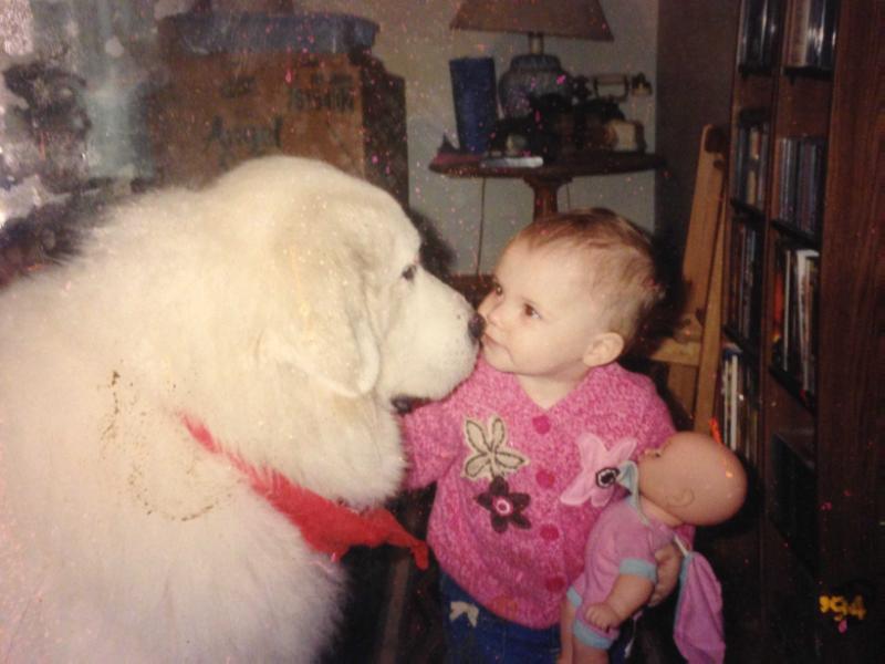 Bonnie Blue Sunshine Davis vom Reichert Haus | Great Pyrenees 