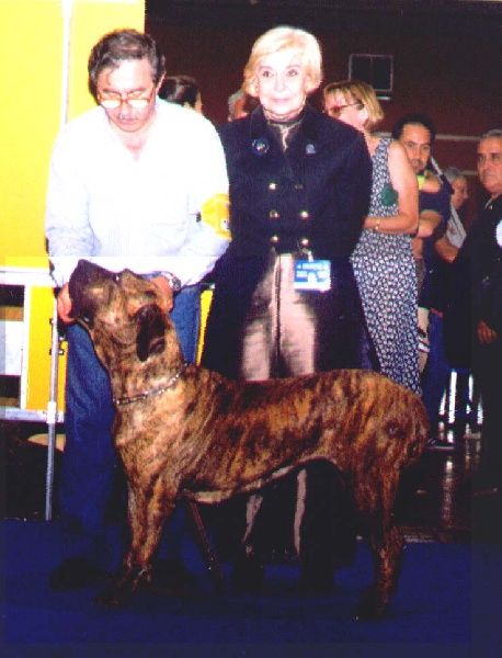 Alaketus Atrevida | Fila Brasileiro 