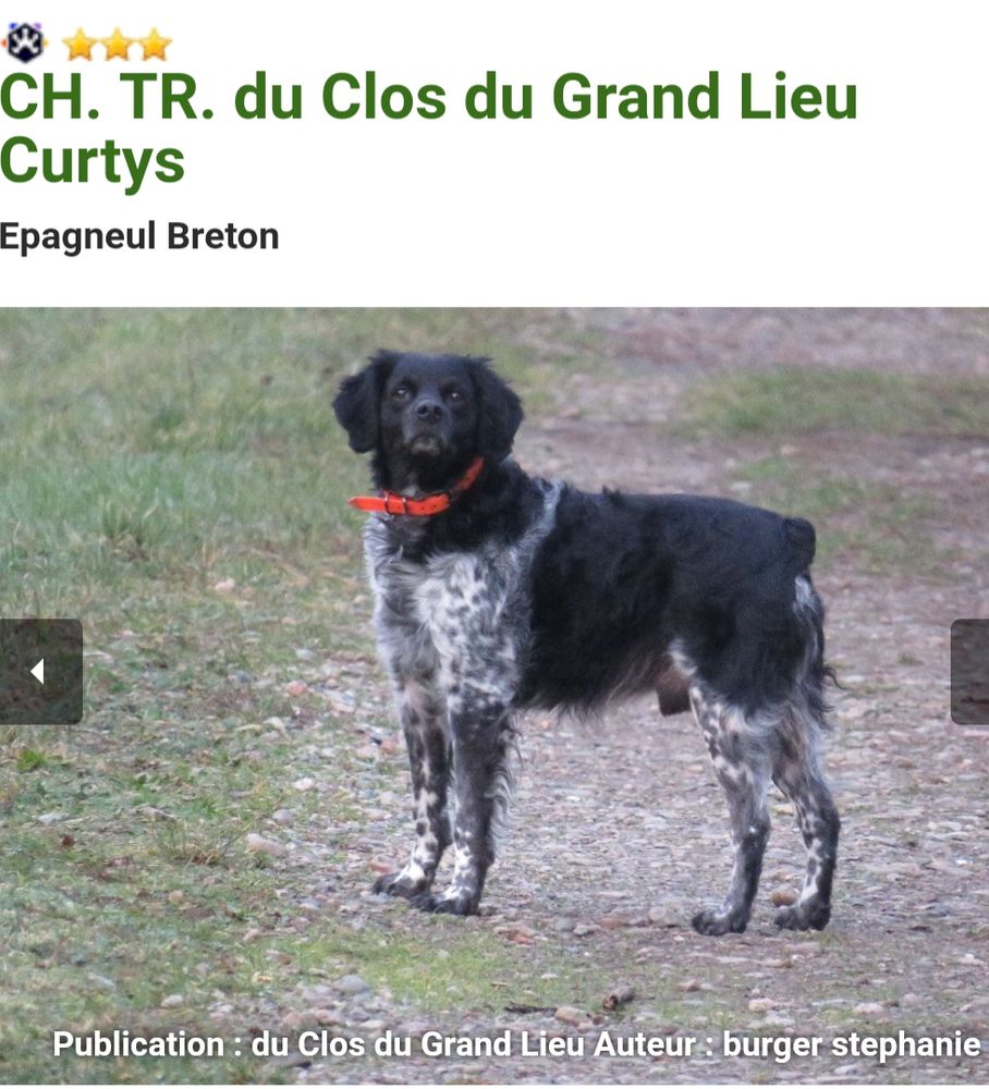 CURTYS du Clos du Grand Lieu | Brittany 