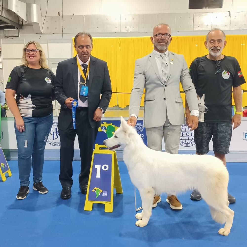 Princess Zahyra Von Taglischindorf | White Swiss Shepherd Dog 