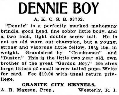 Dennie Boy (093702) | Boston Terrier 