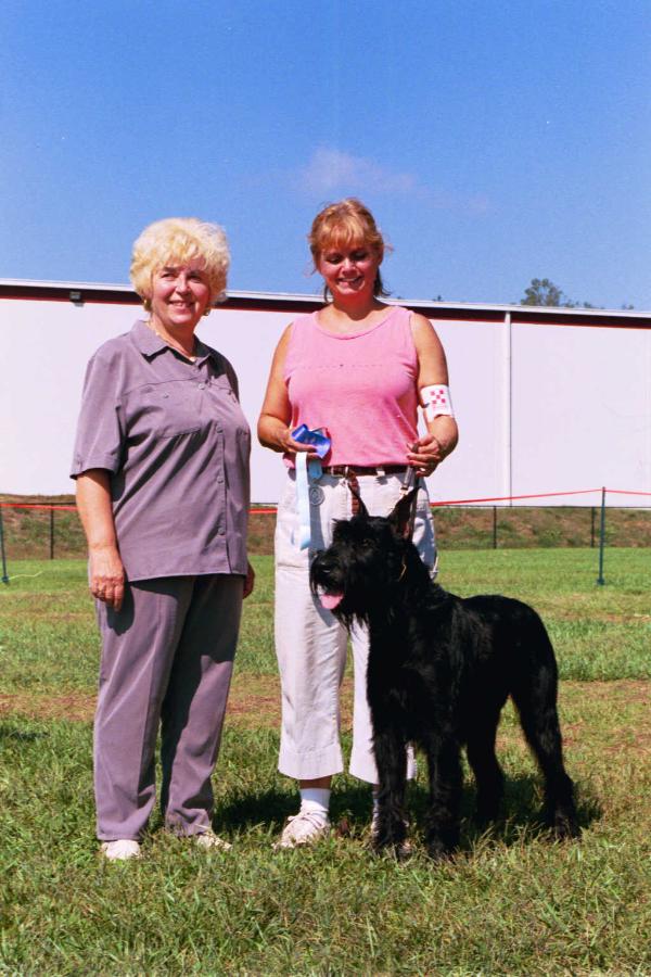 Classic Pearl von Lugar | Giant Schnauzer 