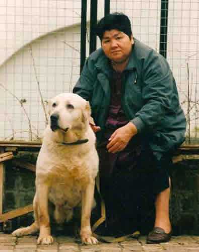 Akbay ow.Bolkunova | Central Asian Shepherd Dog 