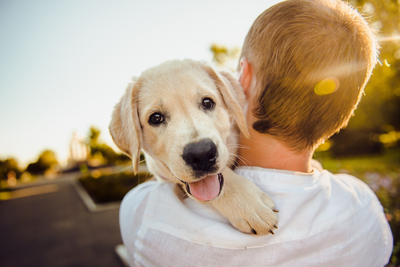 hugging a dog