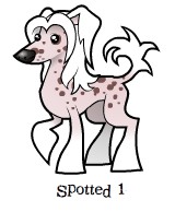 Tapscott's Fire-N-Ice Fantasy | Chinese Crested 