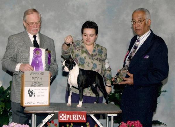 Kennedy's Best Selling Novel at Bramley | Boston Terrier 