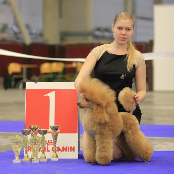 Jantarnaja Komnata Zamechatelny Prints | Poodle 