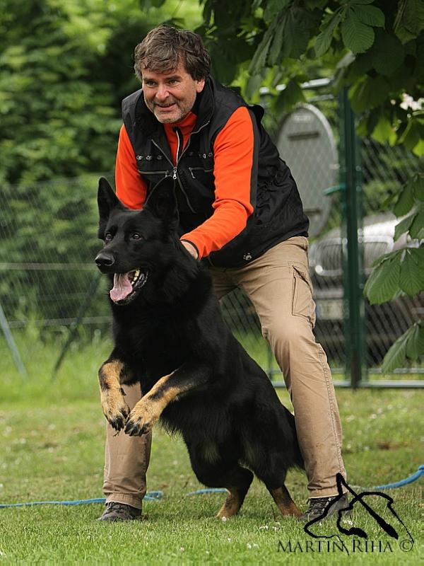 Fred Denbrix | German Shepherd Dog 