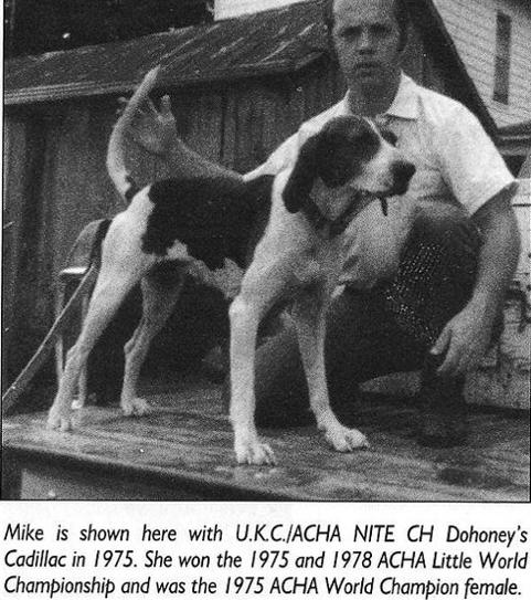 Dohoney's Cadillac | Treeing Walker Coonhound 