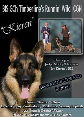 Timberline’s Runnin’ Wild | German Shepherd Dog 