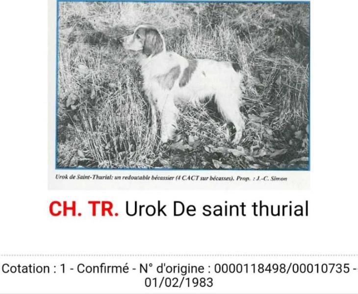 UROK de Saint Thurial | Brittany 