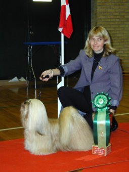 Bentarsna Stand By Me At Glishanna | Lhasa Apso 