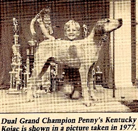 Penny's Kentucky Kojak | American English Coonhound 