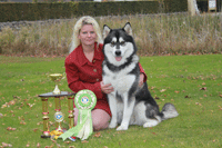 Kotuko BB MissMoney Penny | Alaskan Malamute 