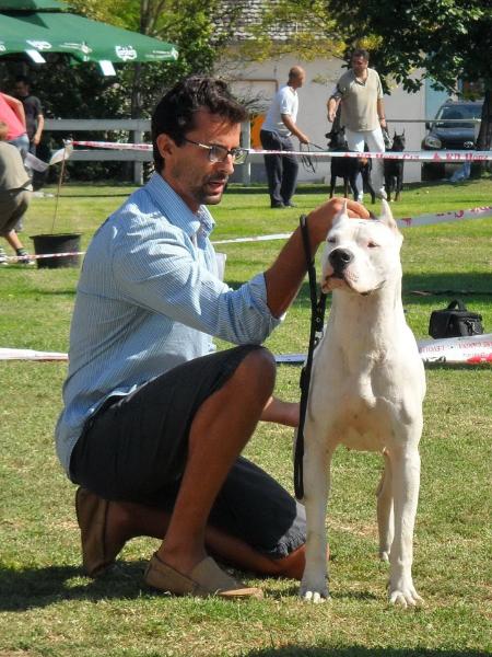 Nereida Danka | Argentine Dogo 