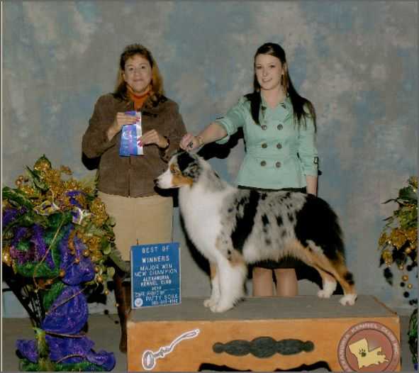 Bayouland's Fleur de Glory | Australian Shepherd 