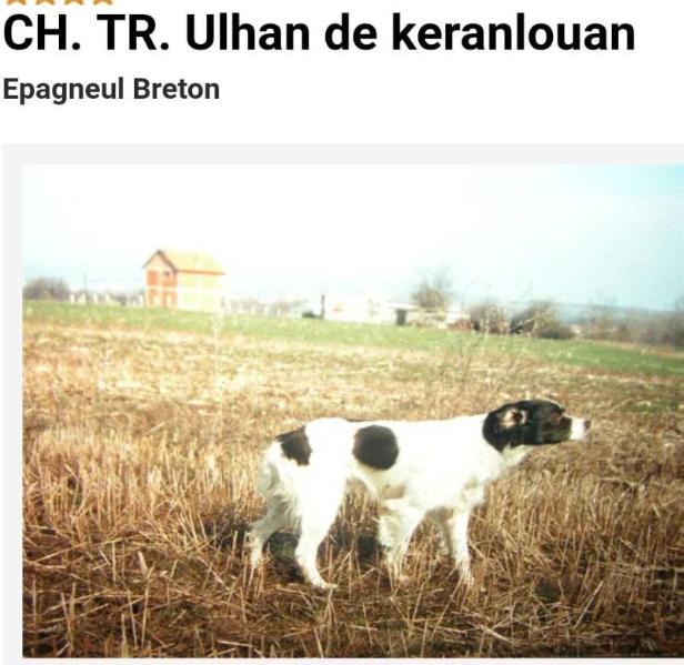 ULHAN de Keranlouan | Brittany 