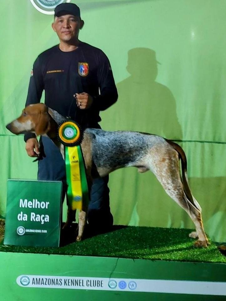 Cães Heróis Monã | Rastreador Brasileiro 