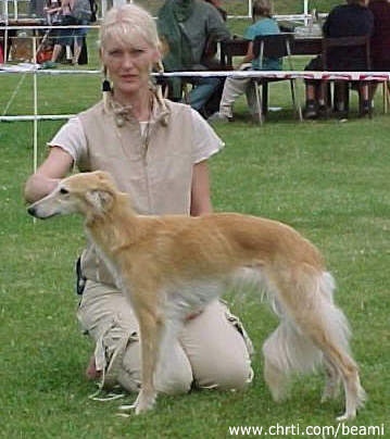 Claybrook Zarah Leander | Whippet 