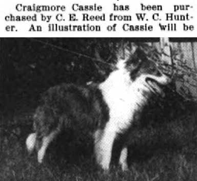 Craigmore Cassie | Rough Collie 