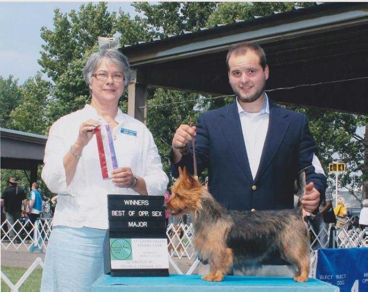 Nellyson's Yippy Yippy Yay | Australian Terrier 