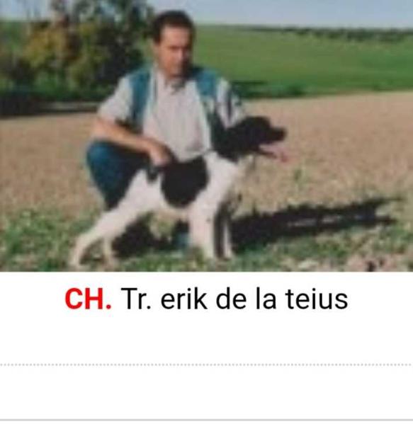 ERIK de la Teius | Brittany 