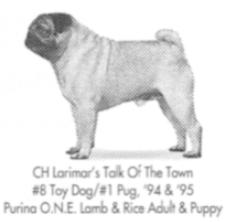 Larimar's Talk of the Town | Pug 