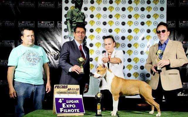 Sebastos &amp; Toca do Jalapão Champions Line | American Staffordshire Terrier 