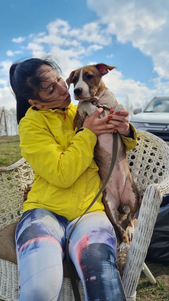 Far Lep Hardinna Uffi  Best Bet | American Staffordshire Terrier 
