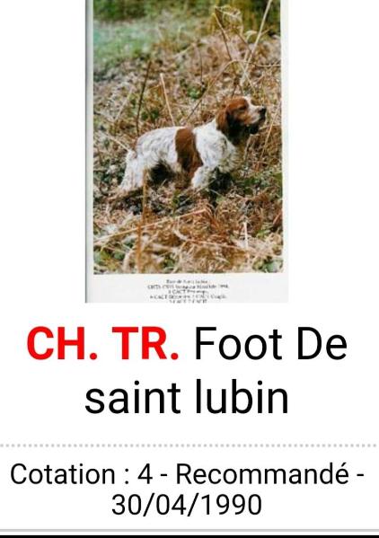 FOOT de Saint Lubin | Brittany 