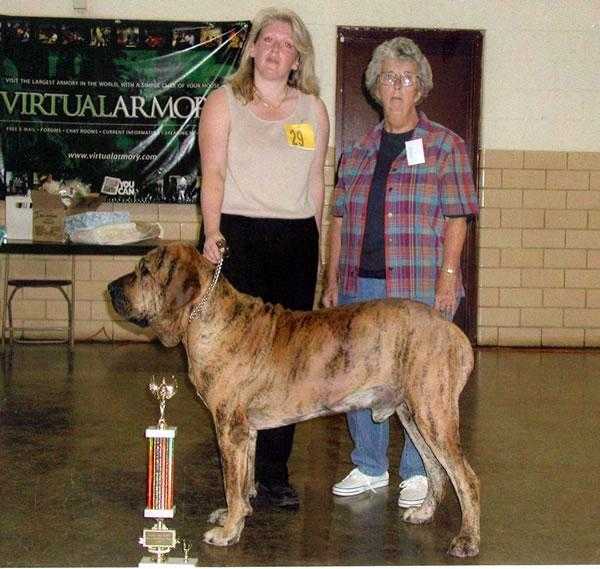 HILL COUNTRY MAJOR HAZARD | Fila Brasileiro 