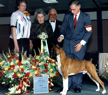 Keil's Vision | Boxer 