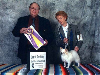 Ouachitah As Good As It Gets Rom | Chihuahua 