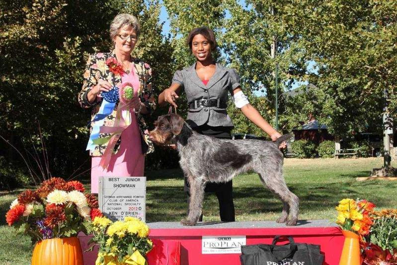 Heywire Looks Like Almond Joy At Reece | German Wirehaired Pointer 