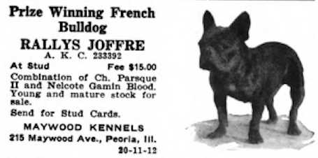 Rallys Joffre 233392 | French Bulldog 