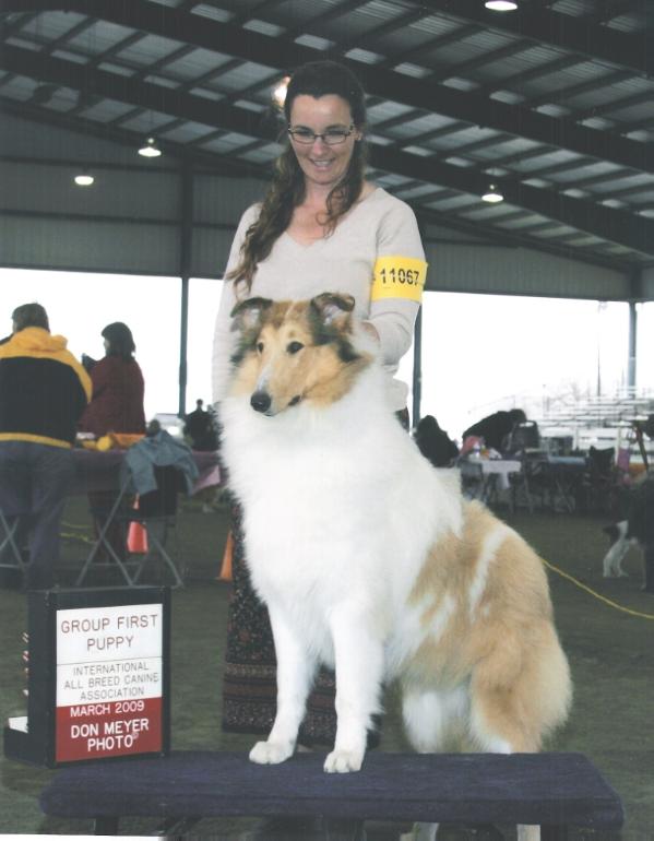 Presidio's El Campion N/C | Rough Collie 