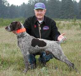 Sure Shot's Hot Rocks | German Wirehaired Pointer 