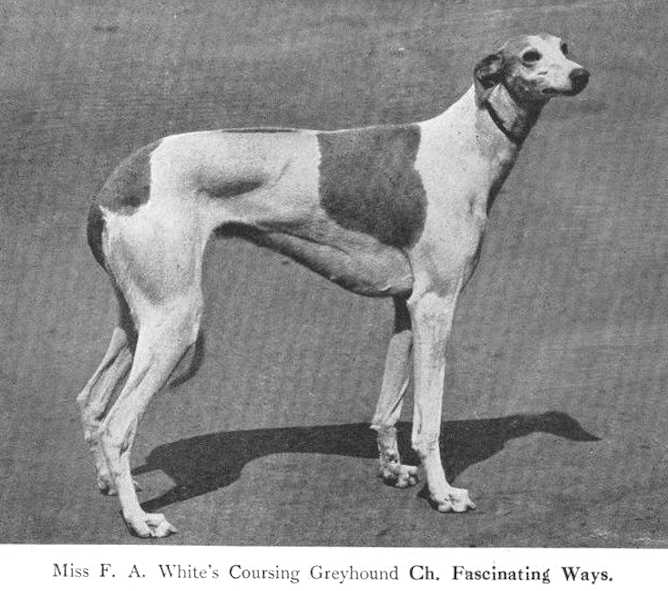 Fascinating Ways (~1920s) | Greyhound 