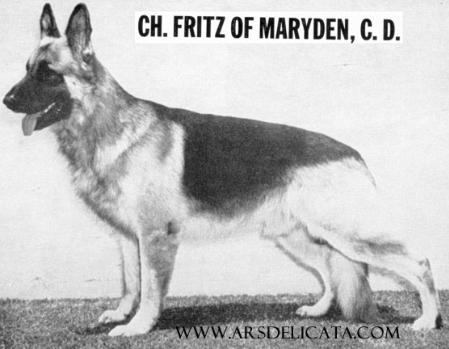 Fritz Of Maryden | German Shepherd Dog 