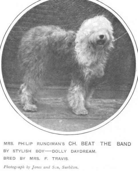 Beat the Band | Old English Sheepdog 