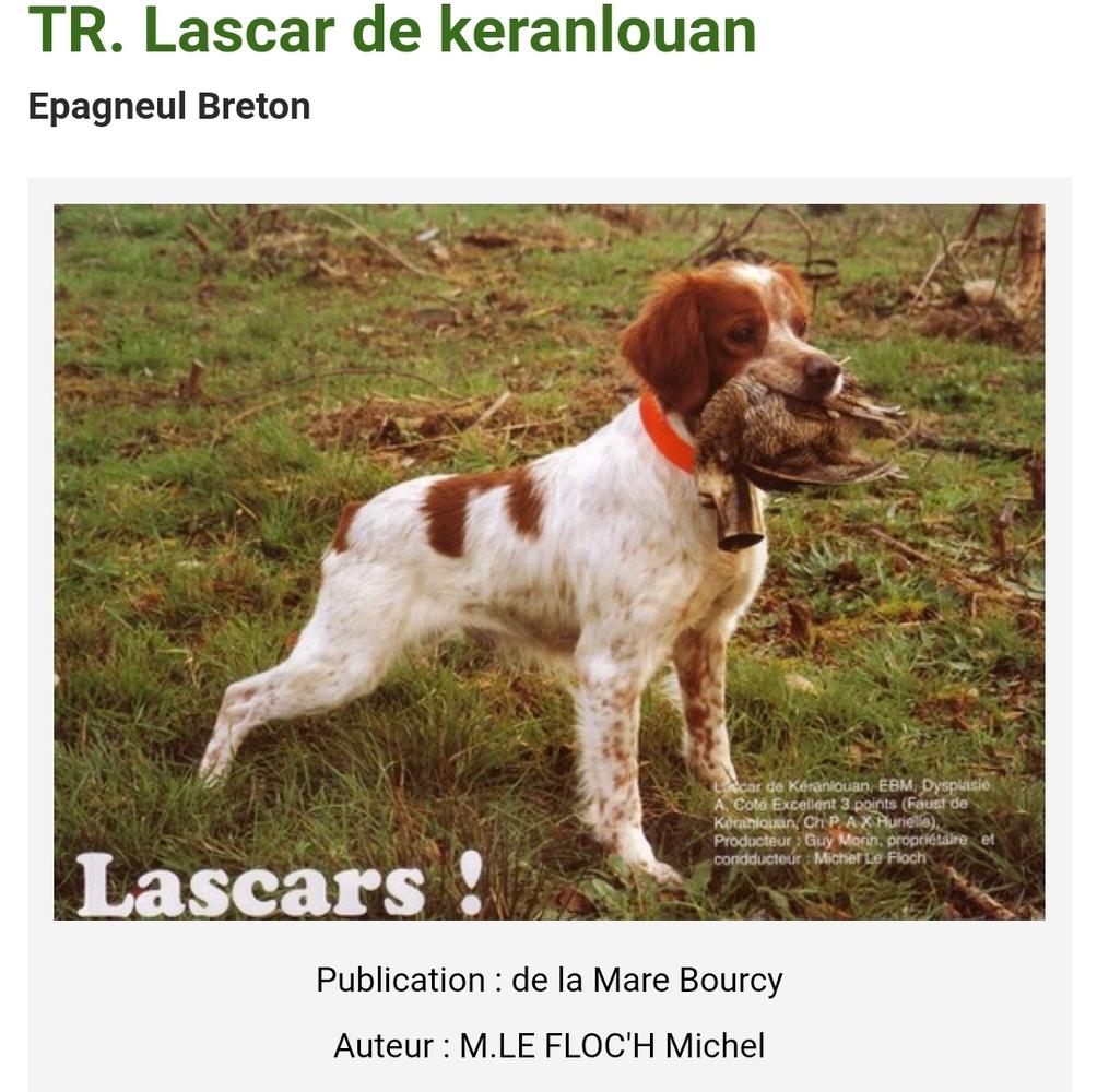 LASCAR de Keranlouan | Brittany 