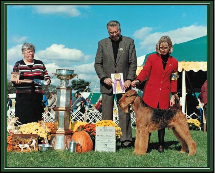 Oakrun's Blue Jay Of Paradym | Airedale Terrier 