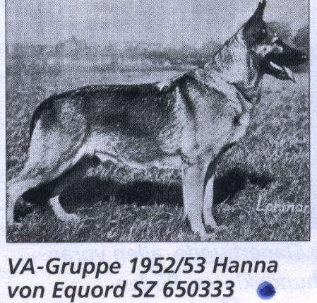 Hanna von Equord | German Shepherd Dog 